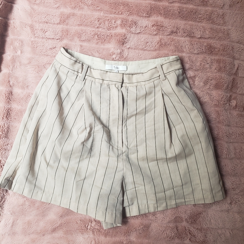 Tibi High Waisted Striped Shorts ⬆️